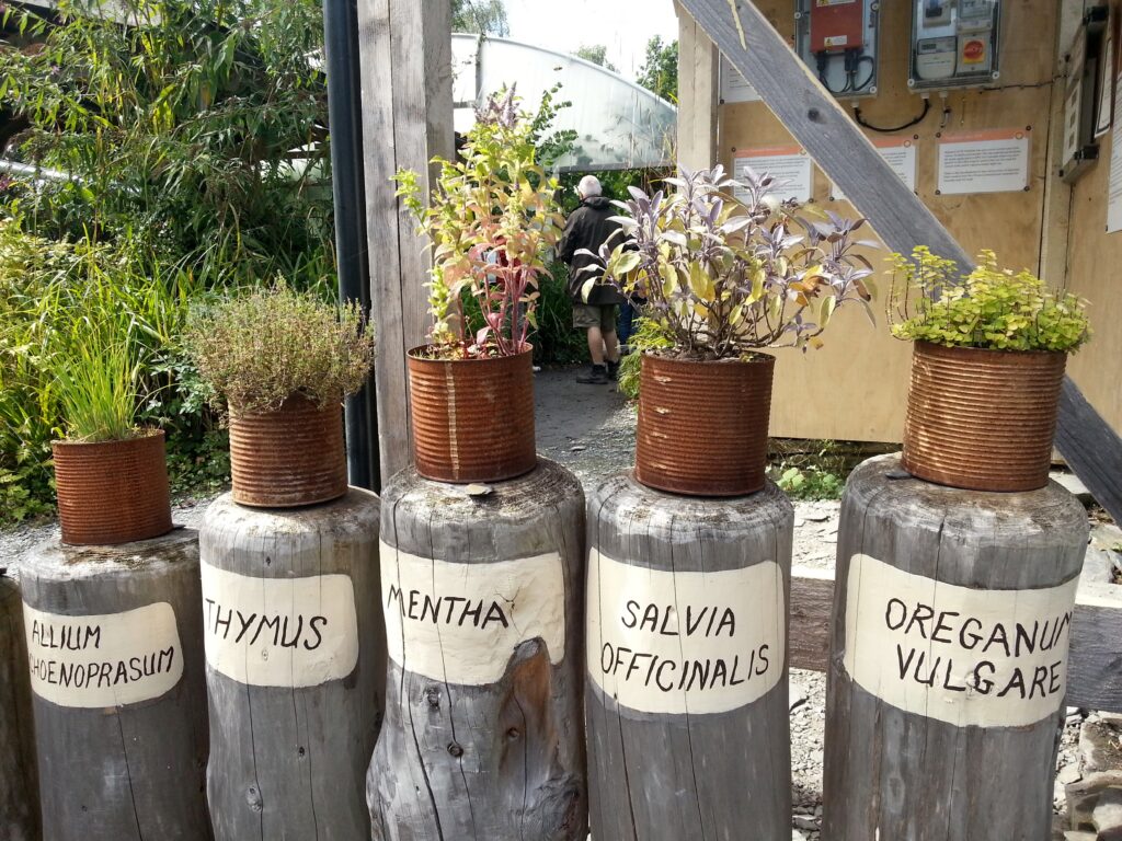 Photo of a row of herbs planted in large, rusty tin cans and placed on top of upright grey logs, with herb names painted on the log fronts